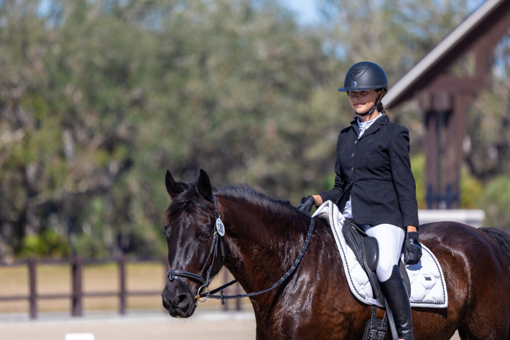 Rider in formal attire on a dark horse during a dressage class at TerraNova Equestrian Center