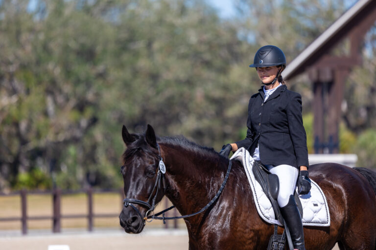 Rider in formal attire on a dark horse during a dressage class at TerraNova Equestrian Center