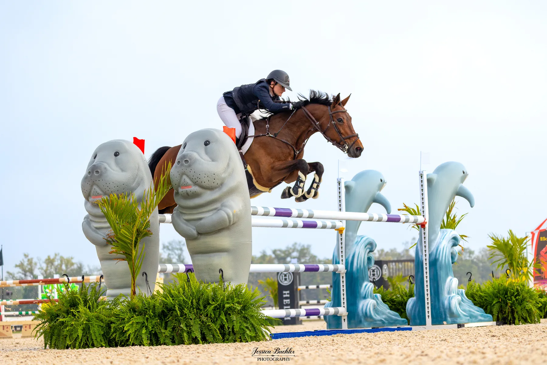 Gracie Allen riding Picante 'ter Elzen' in the $20,000 Howard Leasing TerraNova Prix