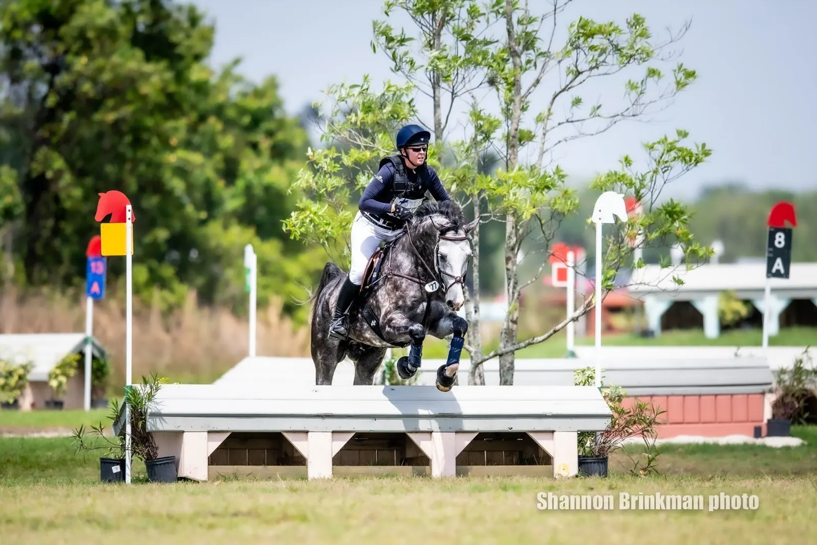 Vanessa Stevenson (USA) and Fidelio- 24.1