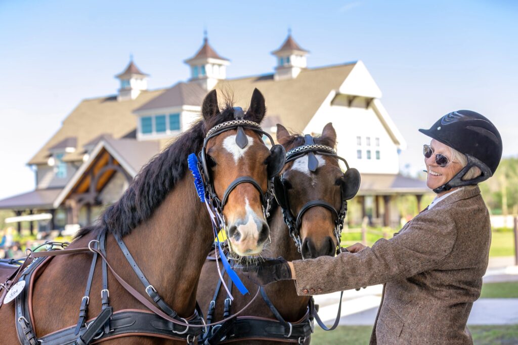 A driver with a pair of ponies at the TerraNova CDE