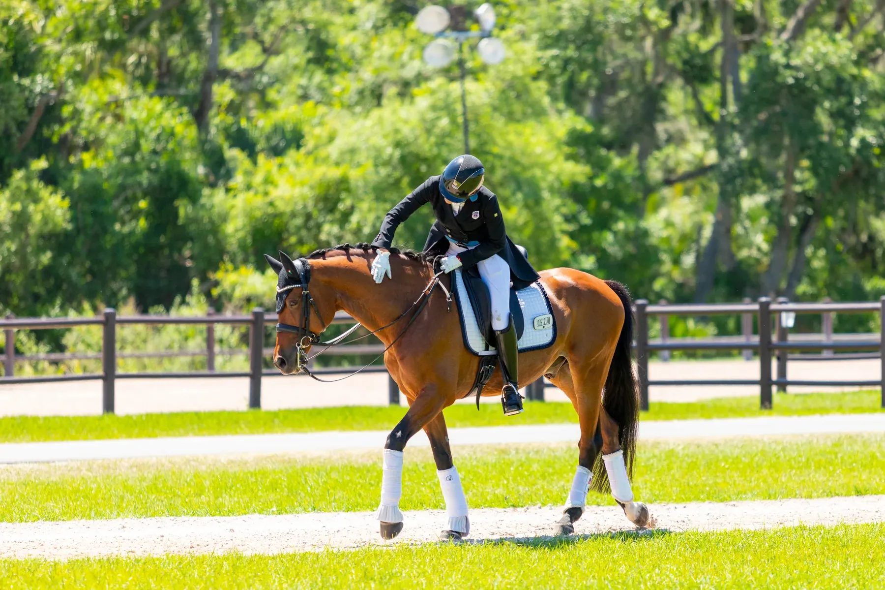 Grand Prix freestyle dressage at TerraNova