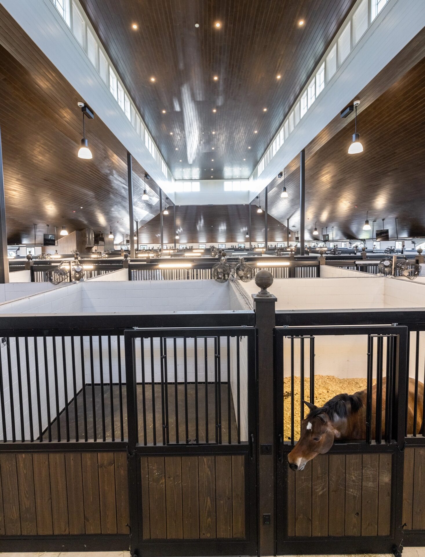 Luxury permanent stabling under skylights at TerraNova Equestrian Center