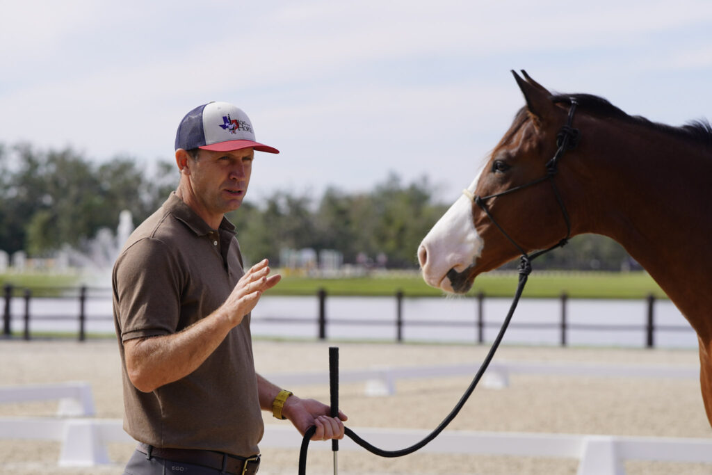 Man in a cap talks while holding the lead of a bay horse in a rope halter