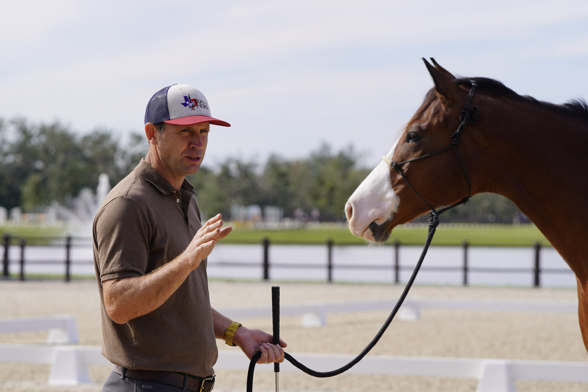 Man in a cap talks while holding the lead of a bay horse in a rope halter