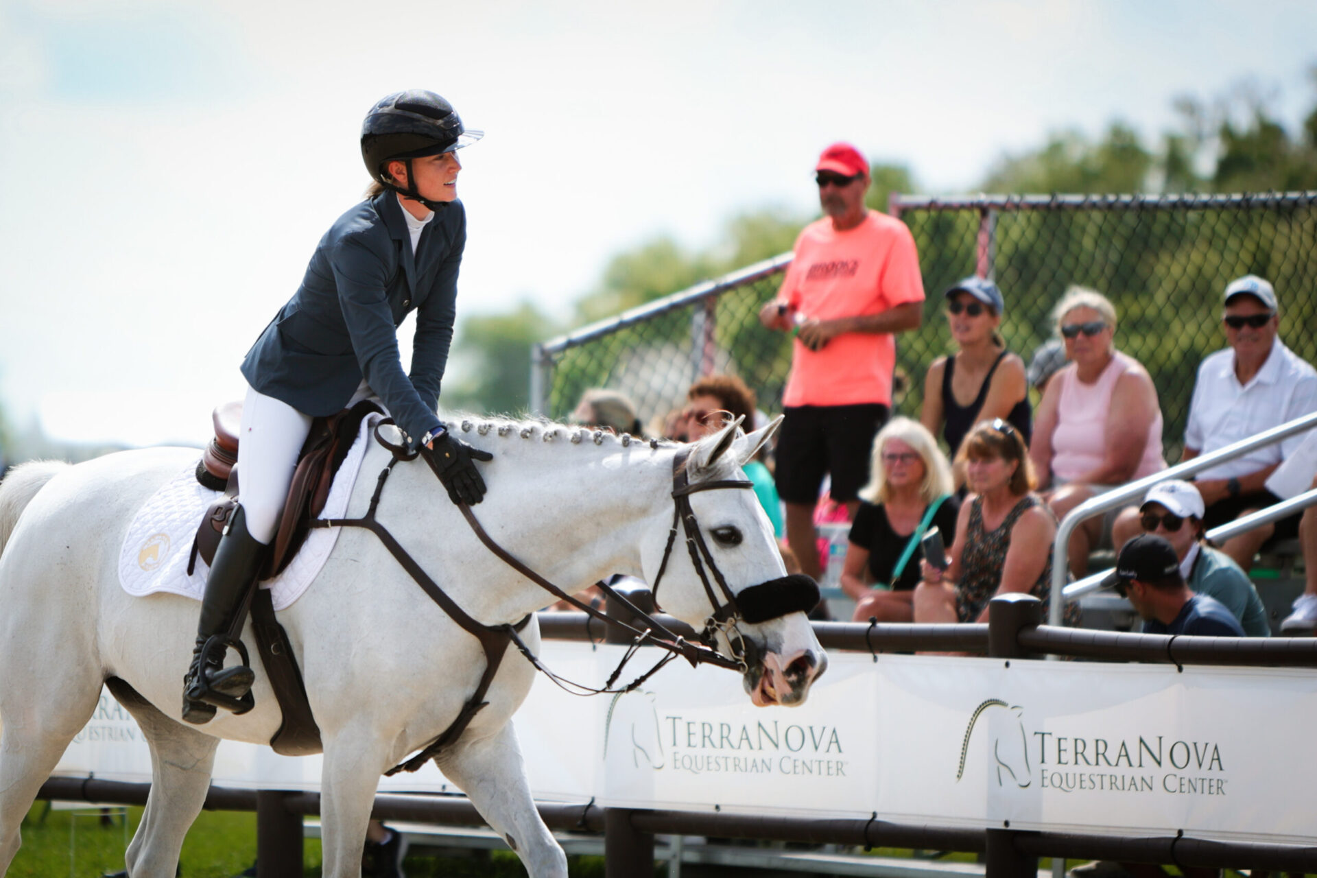 Rider on a gray horse in the show ring with spectators watching from the rail at TerraNova Equestrian Center