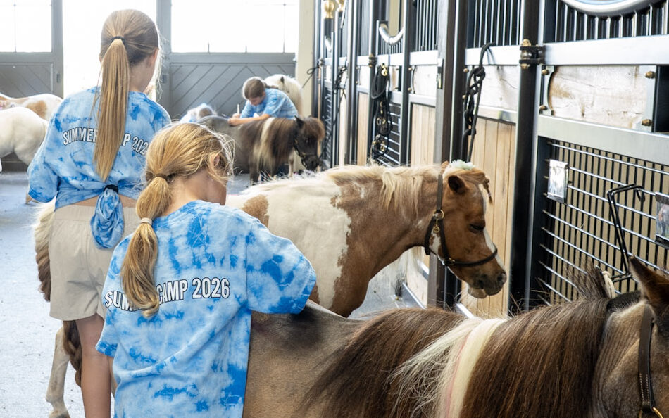 Campers in tie-dye Summer Camp shirts groom miniature horses in a barn aisle