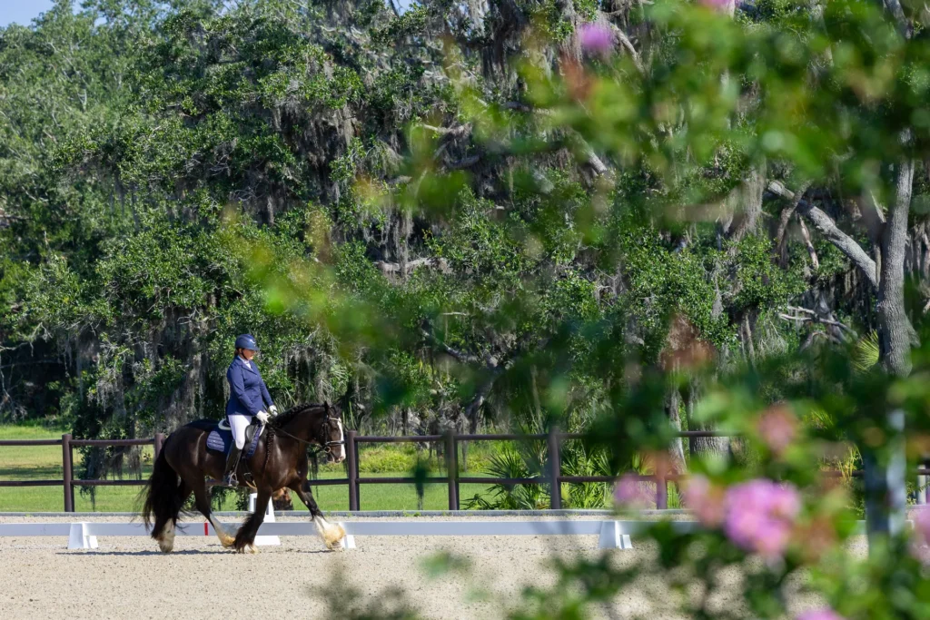 Rider on a dark bay horse performing a dressage test in an outdoor arena at TerraNova Equestrian Center