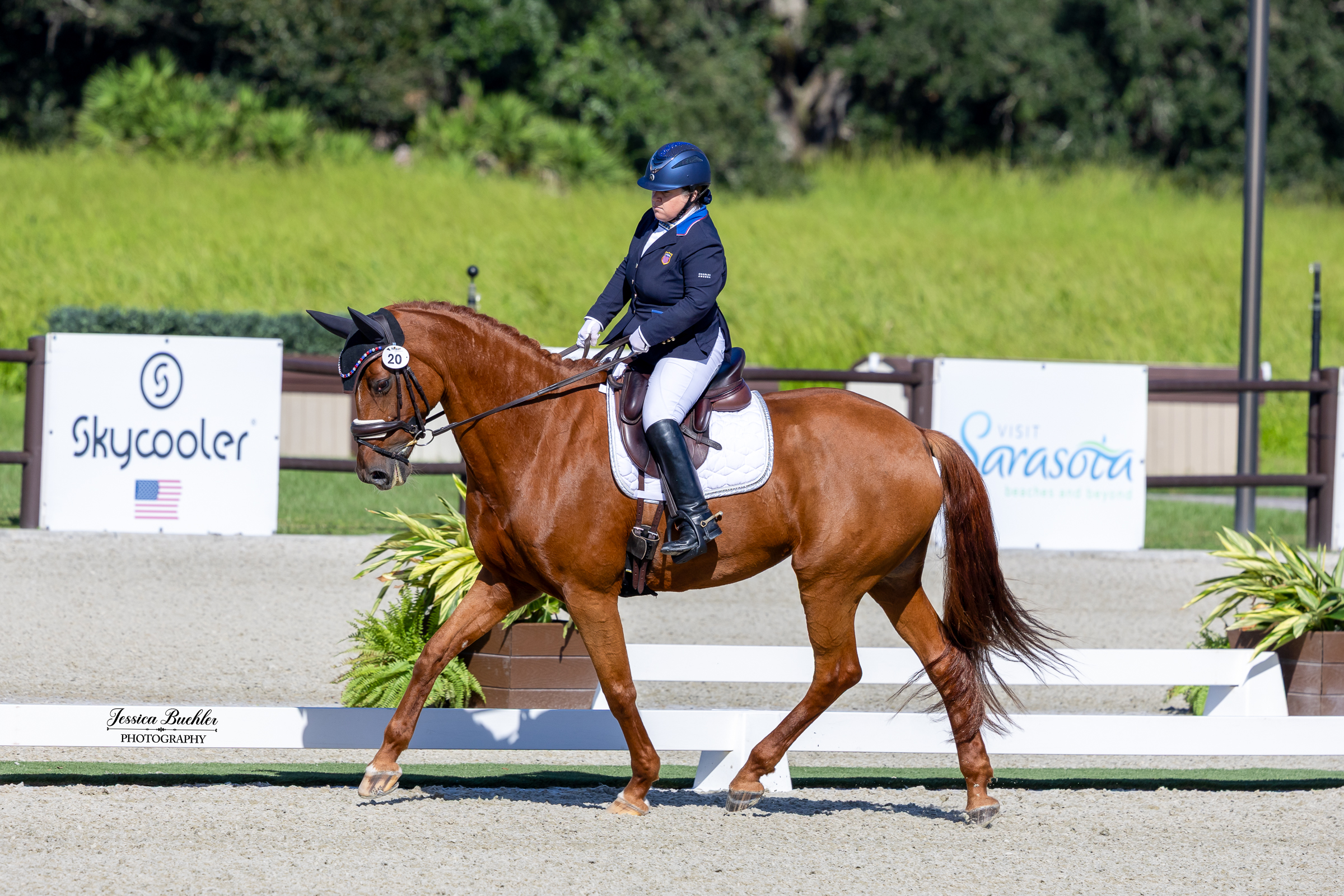 Ellie Brimmer and Langagers Krack I Love It at Dressage at TerraNova
