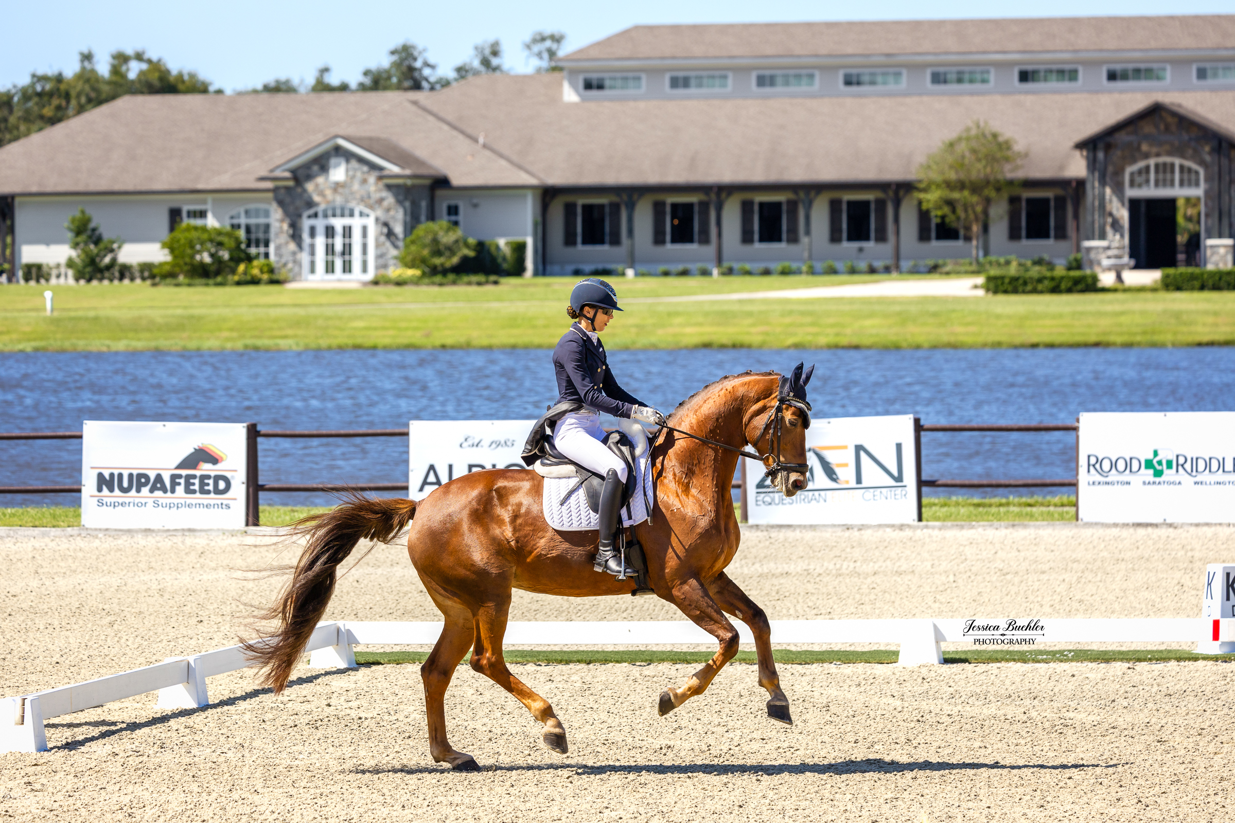 Nora Batchelder and Nova at Dressage at TerraNova