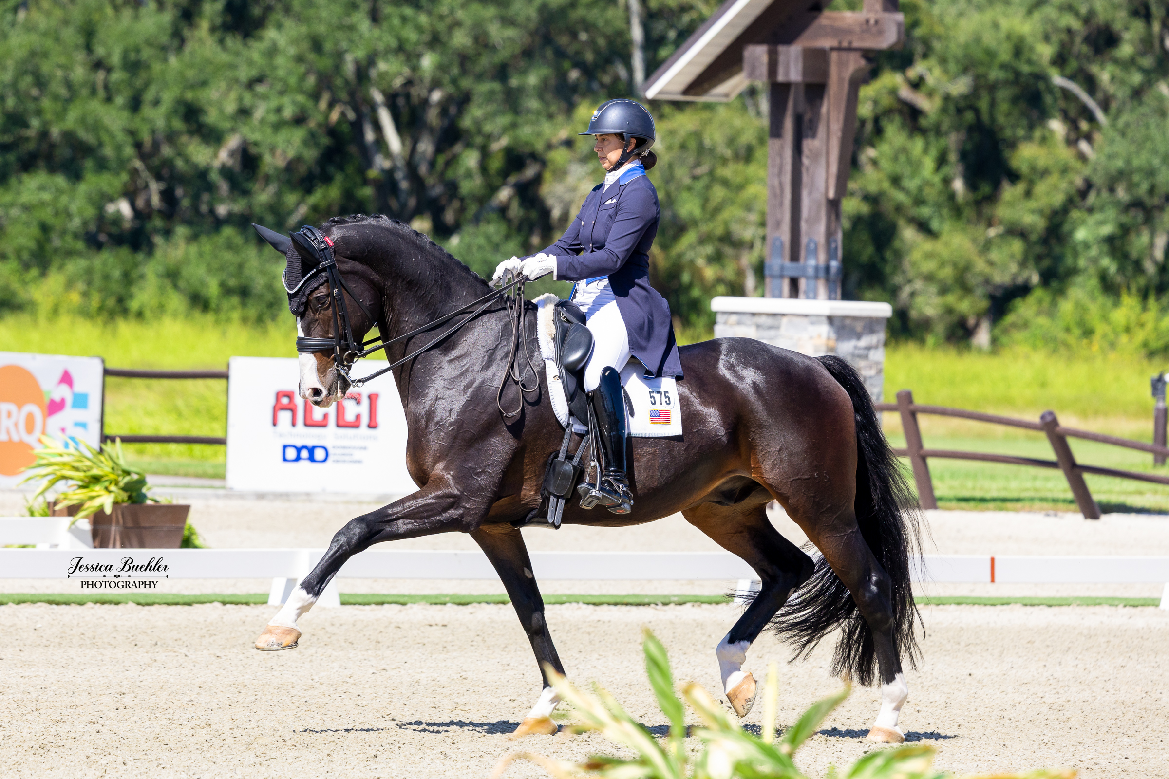 Quinn Iverson and Gremlin 41 at Dressage at TerraNova