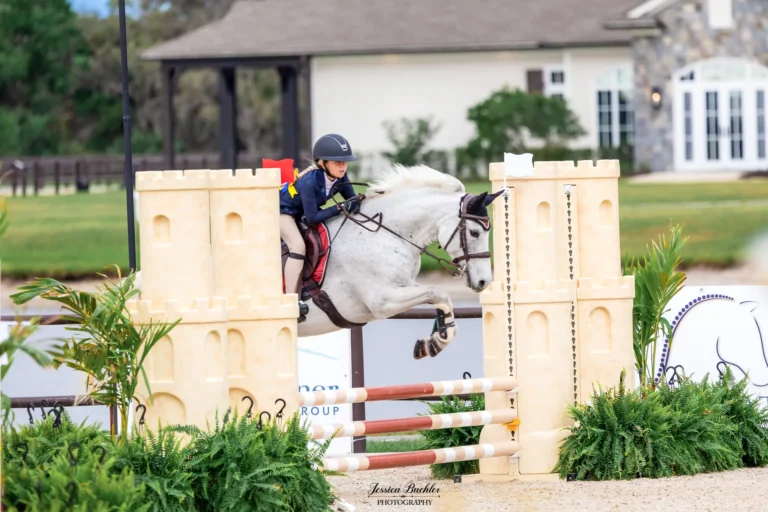 Rider on a gray pony clearing a jump during a hunter/jumper show at TerraNova Equestrian Center
