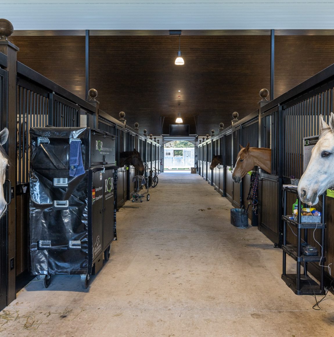 Center aisle of a TerraNova show barn, with horses looking out over black stall grilles and tack trunks lining the aisle.